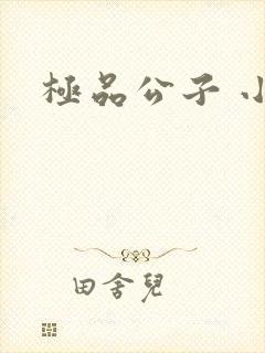 极品公子 小说