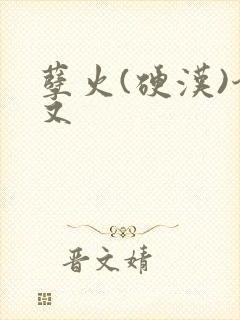 孽火(硬汉)今又