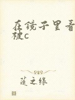 在镜子里看自己被c封面