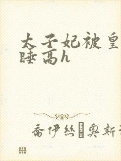 太子妃被皇上强睡高h封面