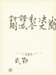 针锋对决小说未删减全文阅读