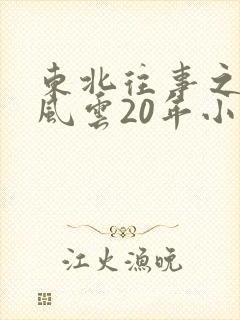 东北往事之黑道风云20年小说