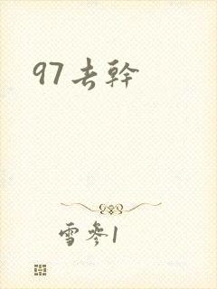 97去干封面