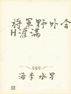 将军野外含公主H灌满