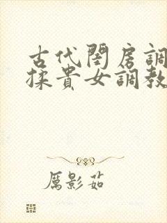 古代闺房调教h揉贵女调教记