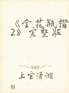 《金花瓶楷梅花2》完整版封面