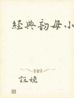 经典韵母小说封面