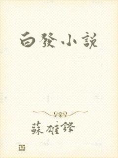 白发小说