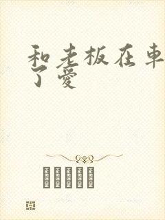 和老板在车里做了爱