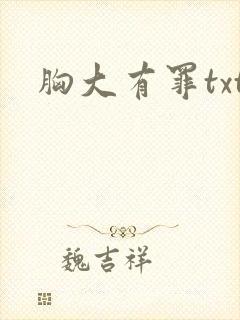 胸大有罪txt