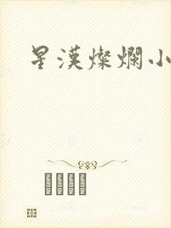 星汉灿烂小说封面