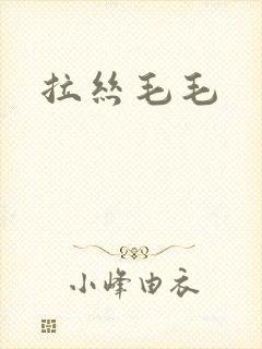 拉丝毛毛