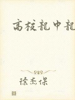 高校龙中龙封面