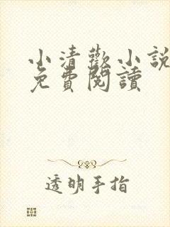 小清欢小说全文免费阅读