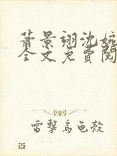 萧景翊沈婉小说全文免费阅读封面
