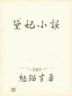黛妃小说
