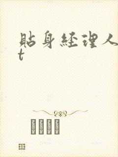 贴身经理人txt