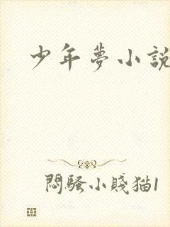 少年梦小说