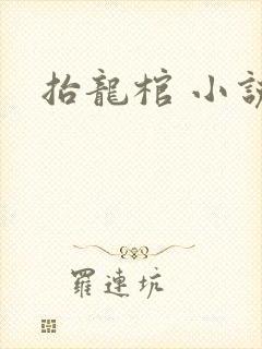 抬龙棺 小说