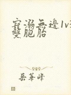 宠溺无边1v3双胞胎