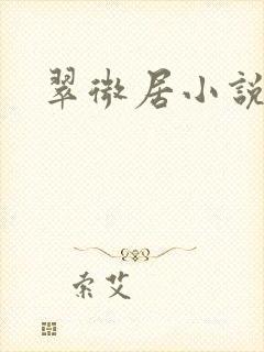 翠微居小说