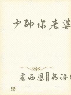 少帅你老婆