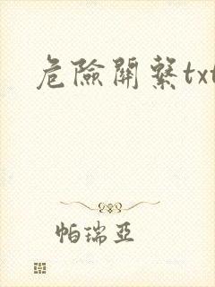 危险关系txt封面
