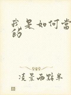 我是如何当神豪的