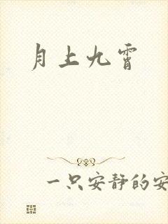 月上九霄封面