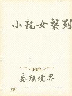 小龙女系列小说