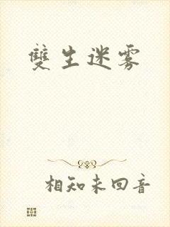 双生迷雾封面