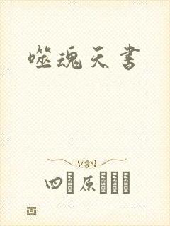 噬魂天书