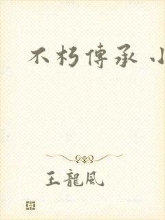 不朽传承 小说
