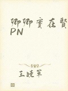 卿卿实在贤良NPN