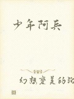 少年阿兵封面