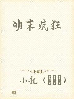 明末疯狂封面
