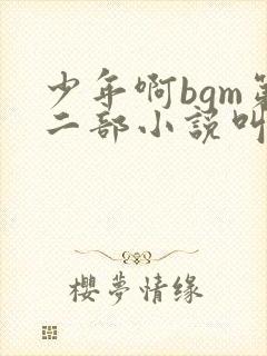 少年啊bgm第二部小说叫什么