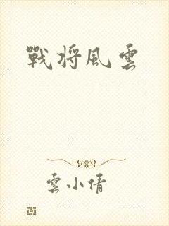 战将风云封面