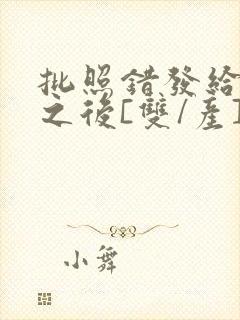 批照错发给情敌之后[双/产]