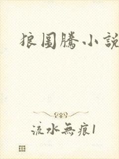 狼图腾小说