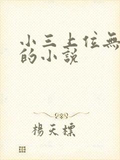 小三上位无三观的小说
