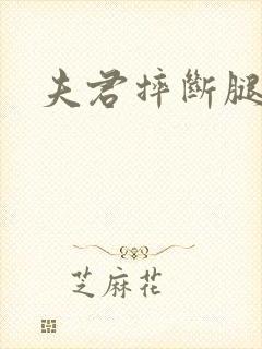 夫君摔断腿后封面