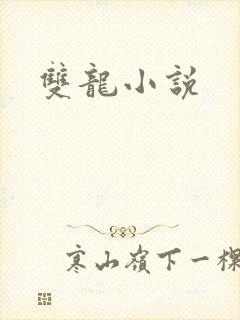双龙小说