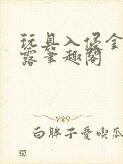 玩具入侵金银花露笔趣阁