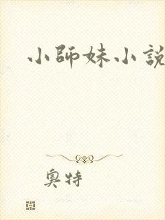 小师妹小说