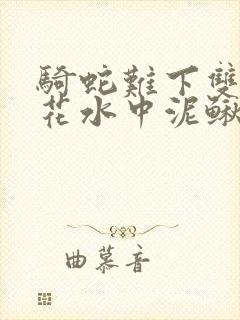 骑蛇难下双金银花水中泥鳅双男主