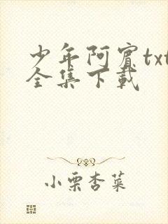 少年阿宾txt全集下载