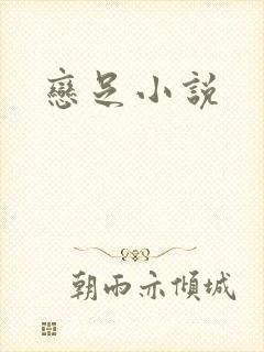 恋足小说