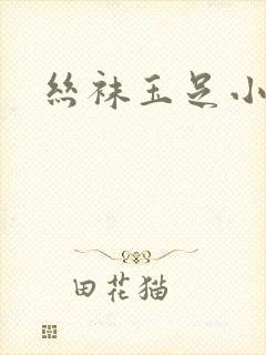 丝袜玉足小说