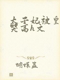 太子妃被皇上c哭高h文